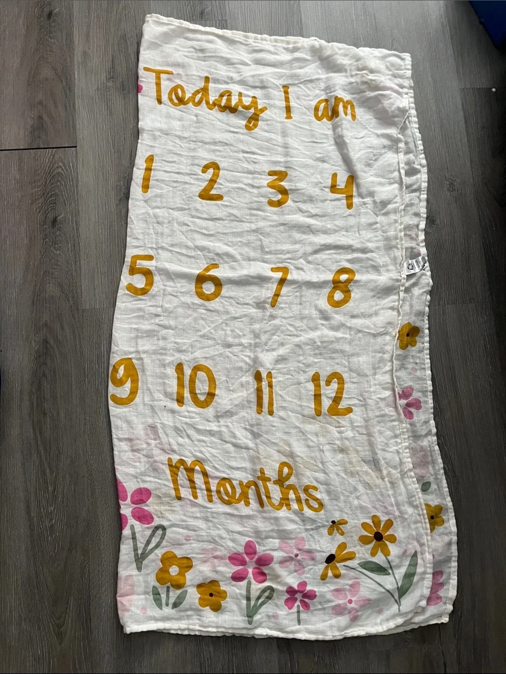 Gerber Floral and Cream Baby Age 1 to 12-month Milestone Blanket